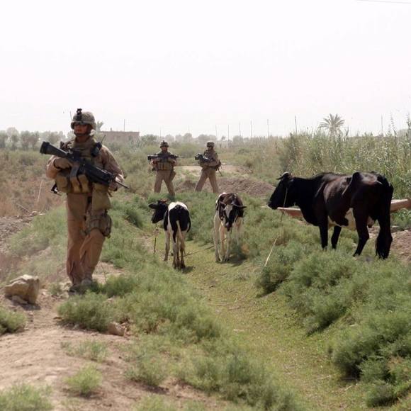 Meet your Posher, Derek - Picture 1 of 1